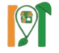 Marketnera Logo